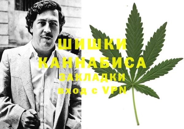 сатива Алексеевка