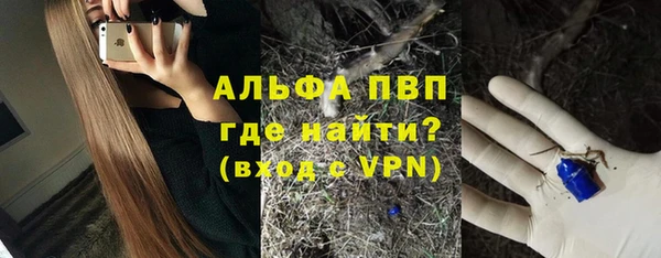 сатива Алексеевка