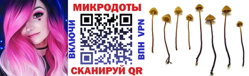 Псилоцибиновые грибы прущие грибы  где найти   Игра 